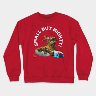 Wales Crewneck Sweatshirt